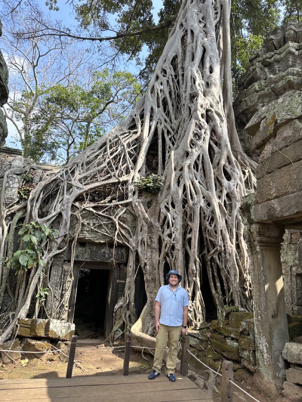 A big tree overgrown at Ta Phrom temple, where Tomb Raider was filmed