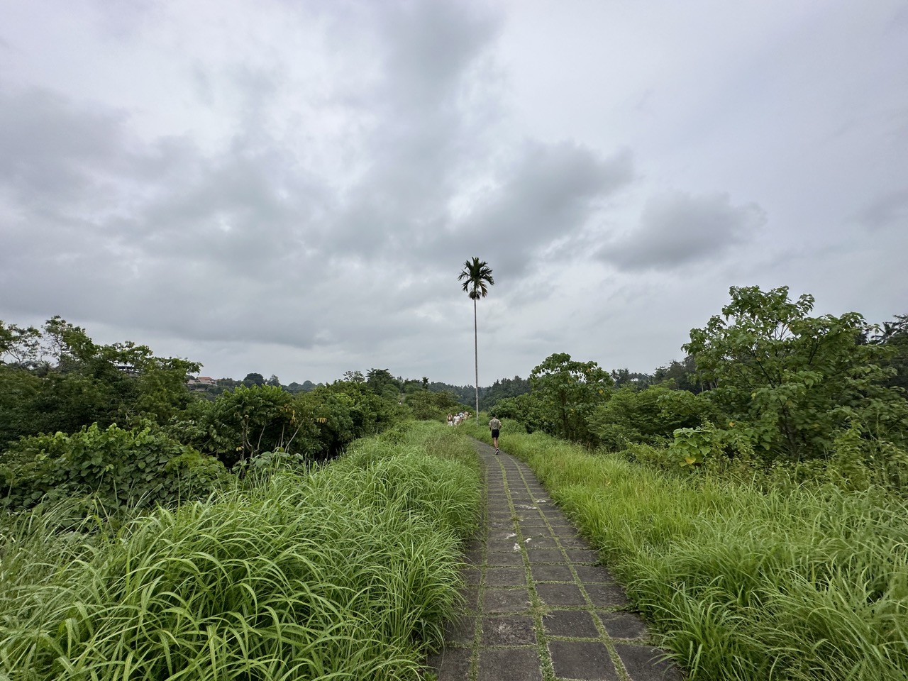 The Capuhan Ridge Walk, featuring a very uneven road