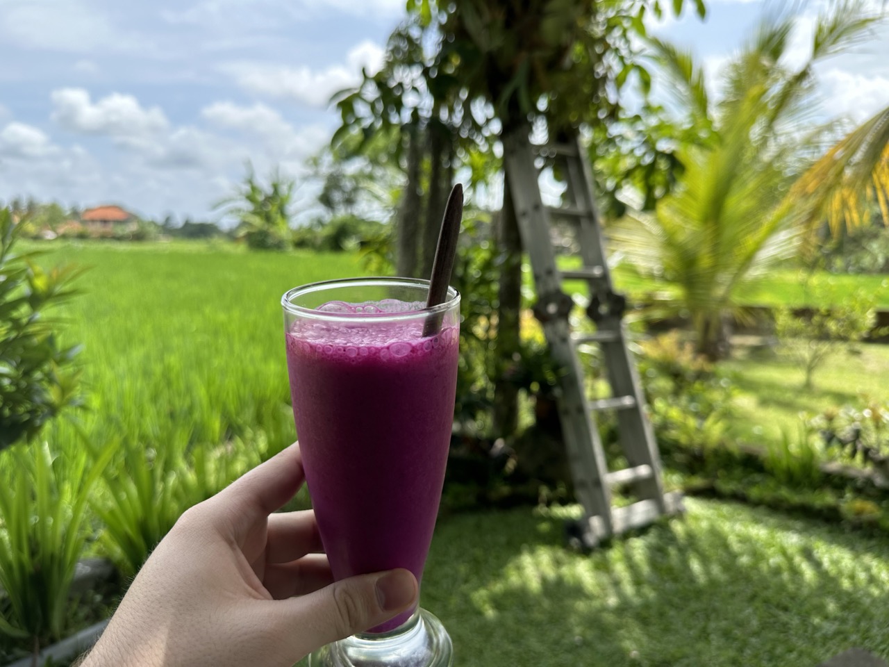 Sunrise juice (dragonfruit, banana, and pineapple)