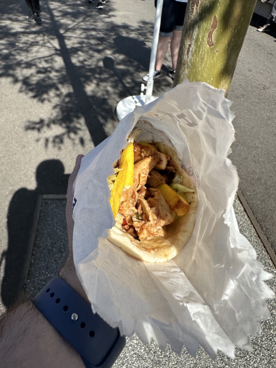 I ate a chicken souvlaki from Hella Good