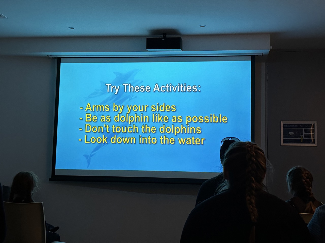 The dolphin briefing included tips on how to attract the dolphins' attention