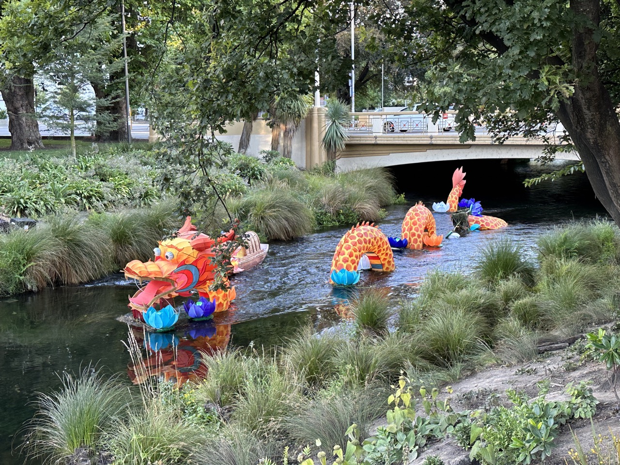 Dragon in the Avon River to celebrate the Lunar New Year