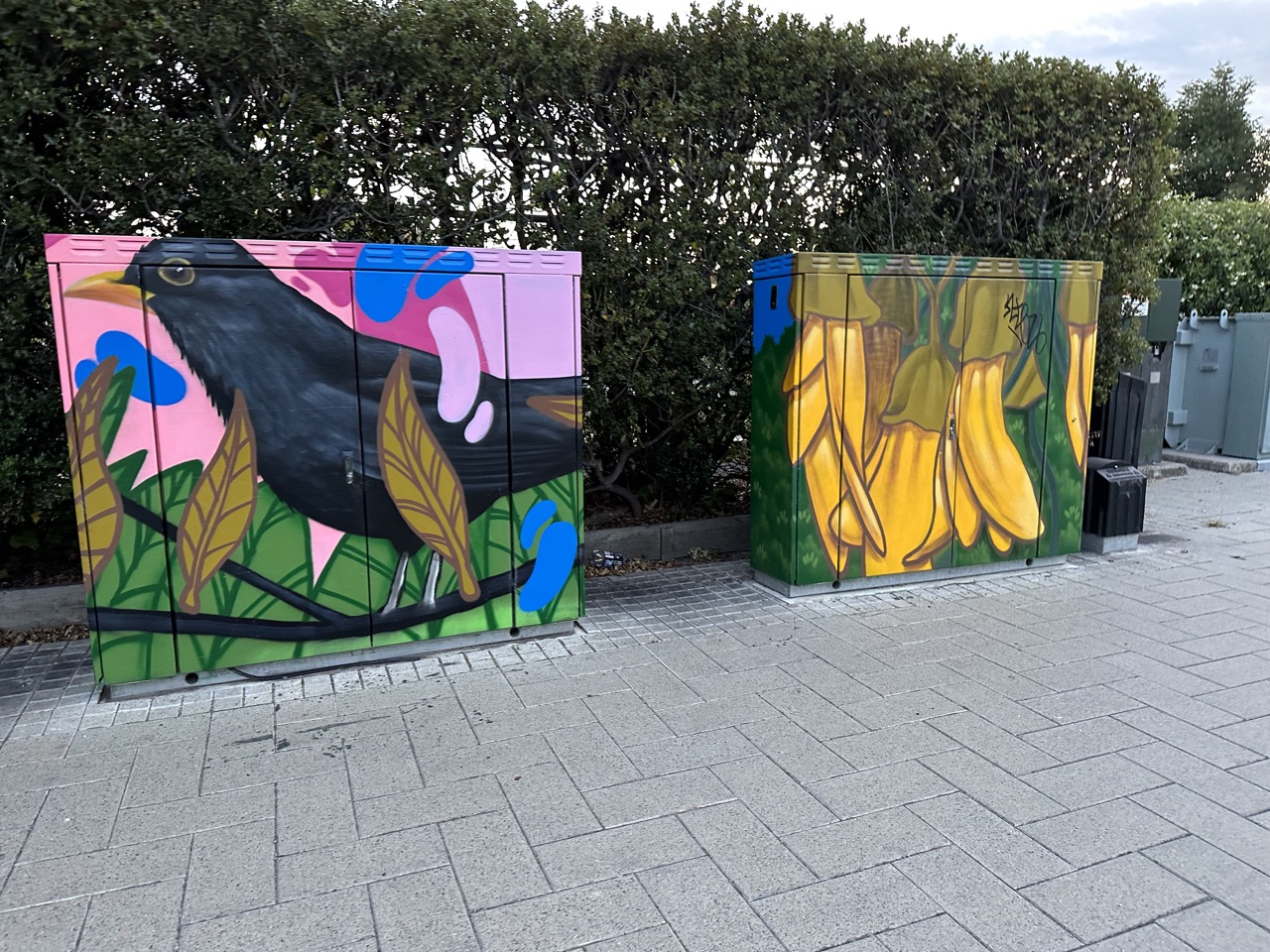 Street art in Christchurch on electrical boxes