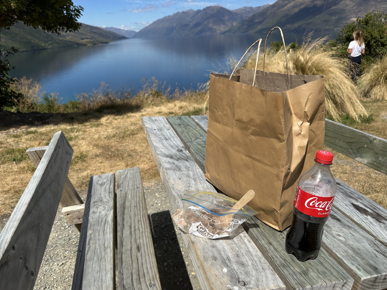 Lunch on the side of the road next to Lake Wakatipu was leftover lamb and flat coke