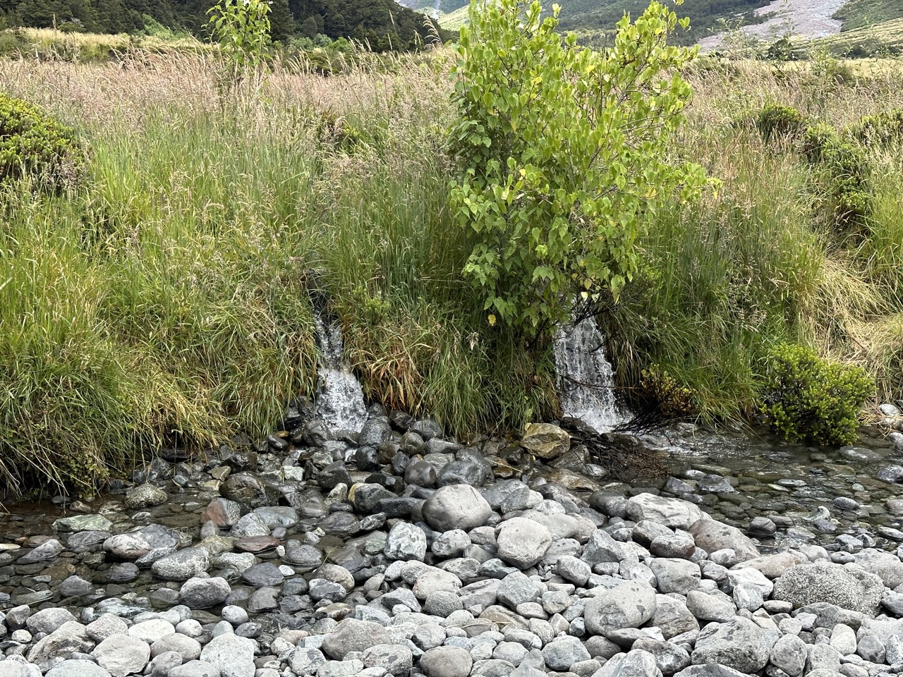 Our driver Adrian suggested we drink the water from these little waterfalls that are fed directly from the glacier