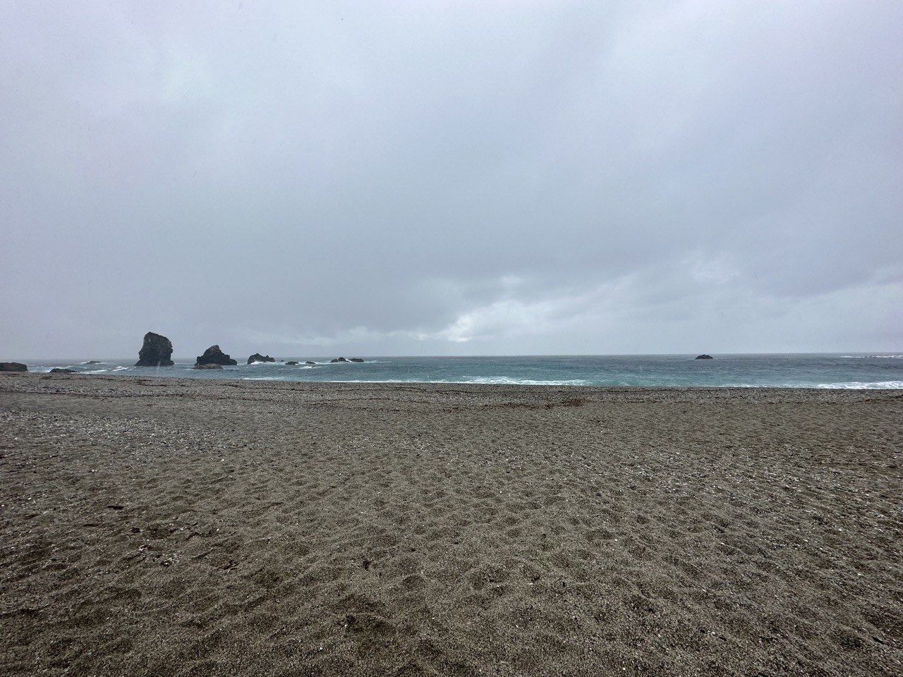 I reached the beach just when it started raining again, with no penguins in sight