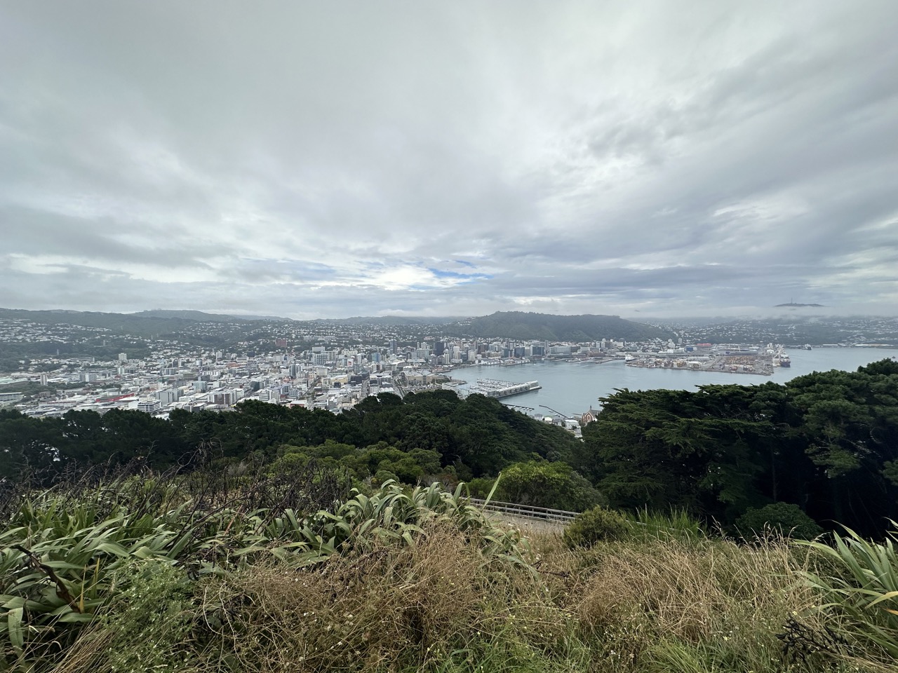 View of Wellington from the top of Mount Victoria