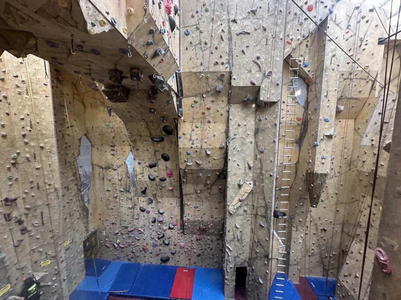 Rock Solid Backpackers is located in the same building as a climbing gym