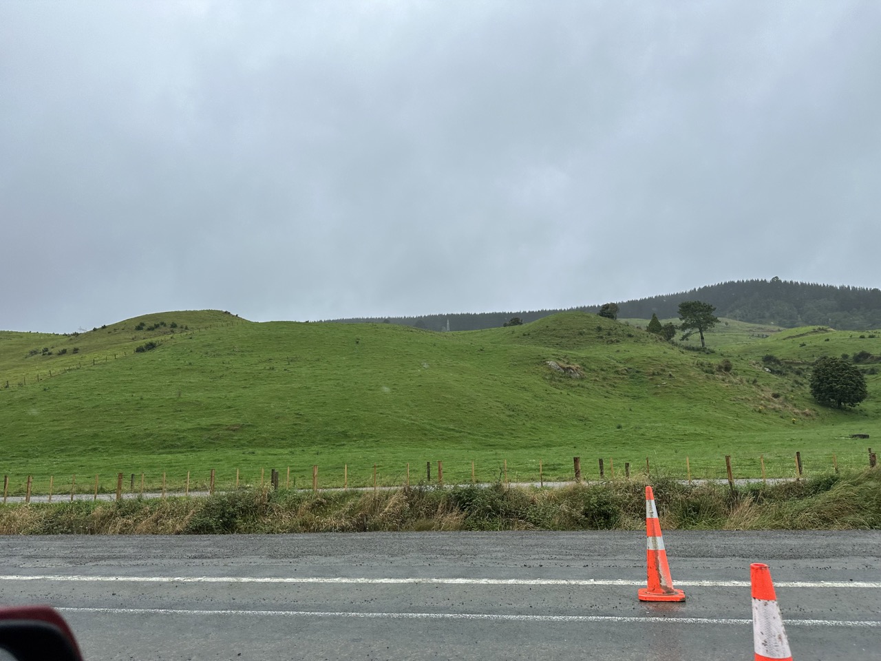 Much of the scenery between Taupo and Rotorua are lush green hills like this