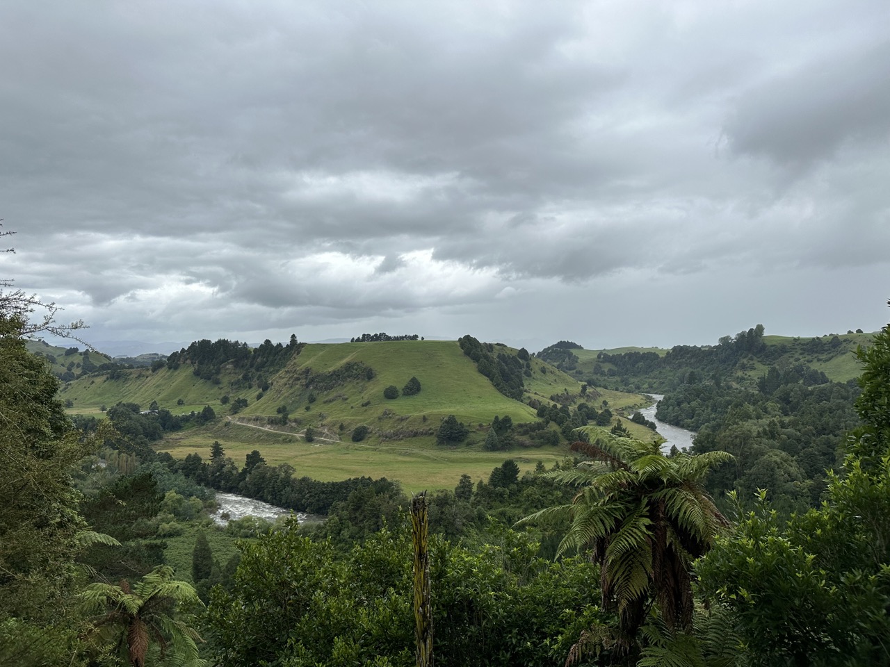 Scenery along the drive between Waitomo and Tongariro National Park