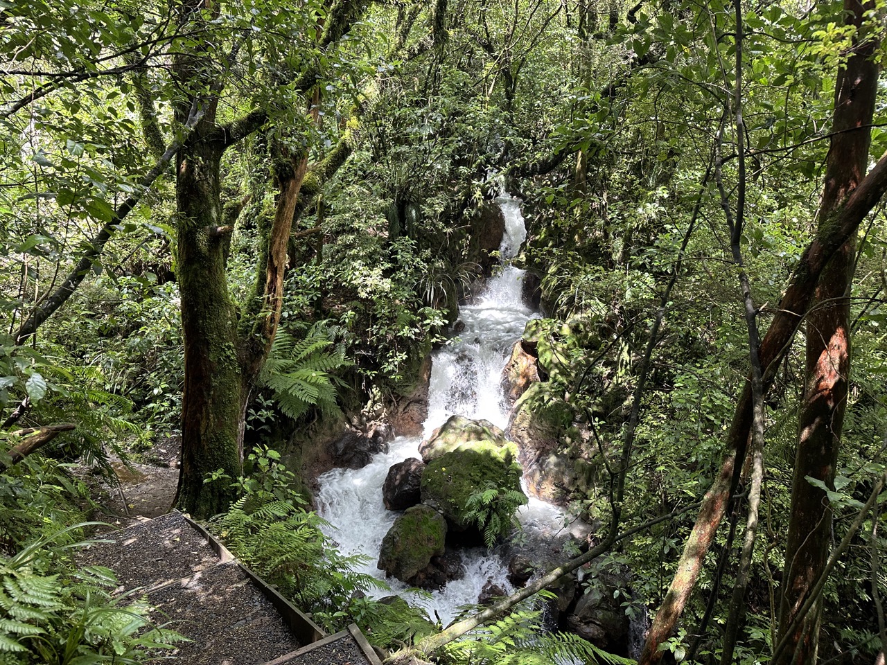 Towards the end of the hike you can take a couple steps off the path to see the Ketetahi Falls