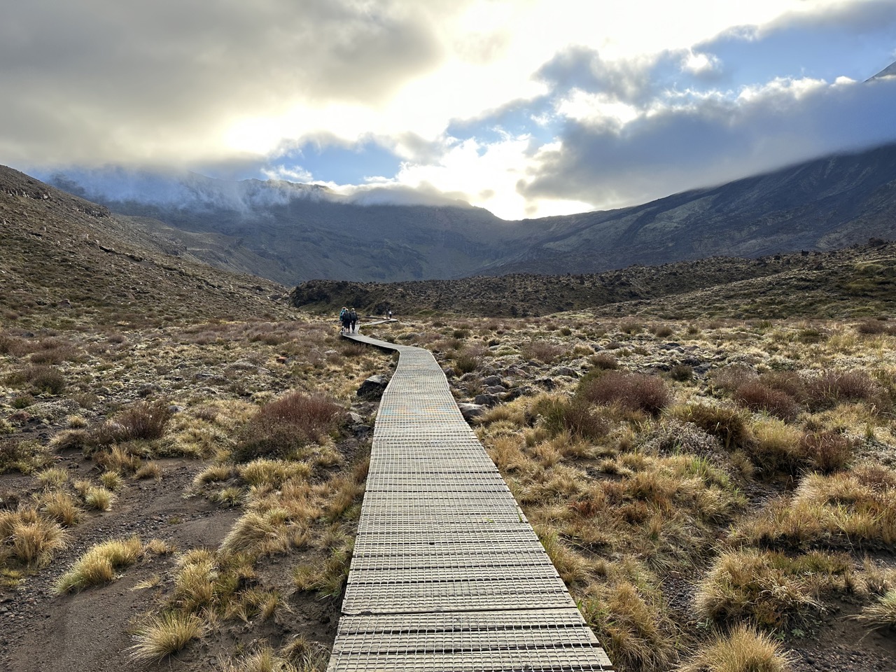 The beginning of the walk is mostly flat, along a boardwalk with some short plants