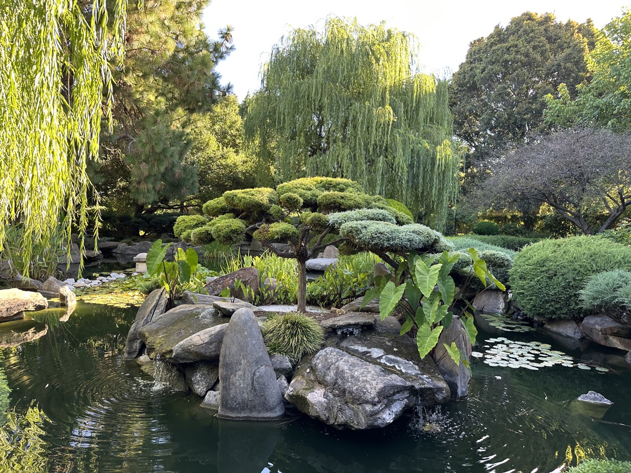 Adelaide's Himeji Gardens, Himeji and Adelaide are sister cities