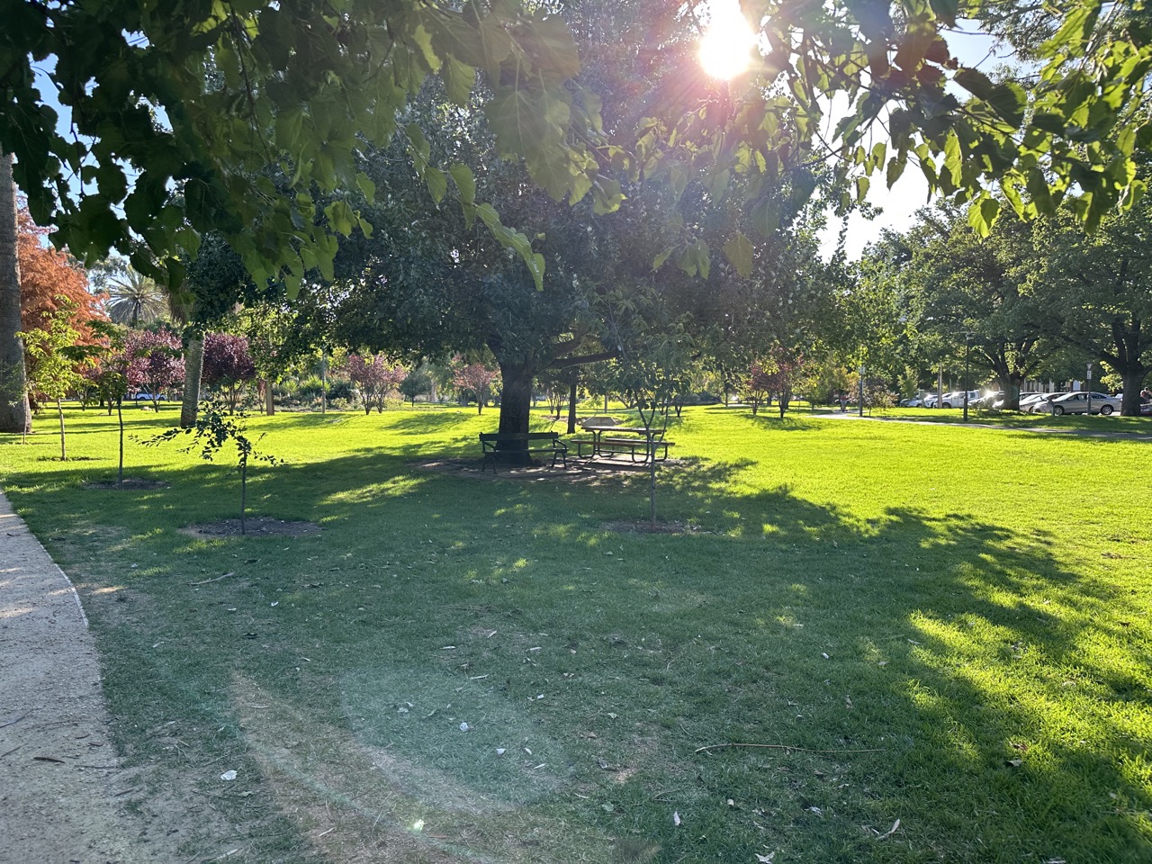 Adelaide is surrounded on all sides by terraces like this