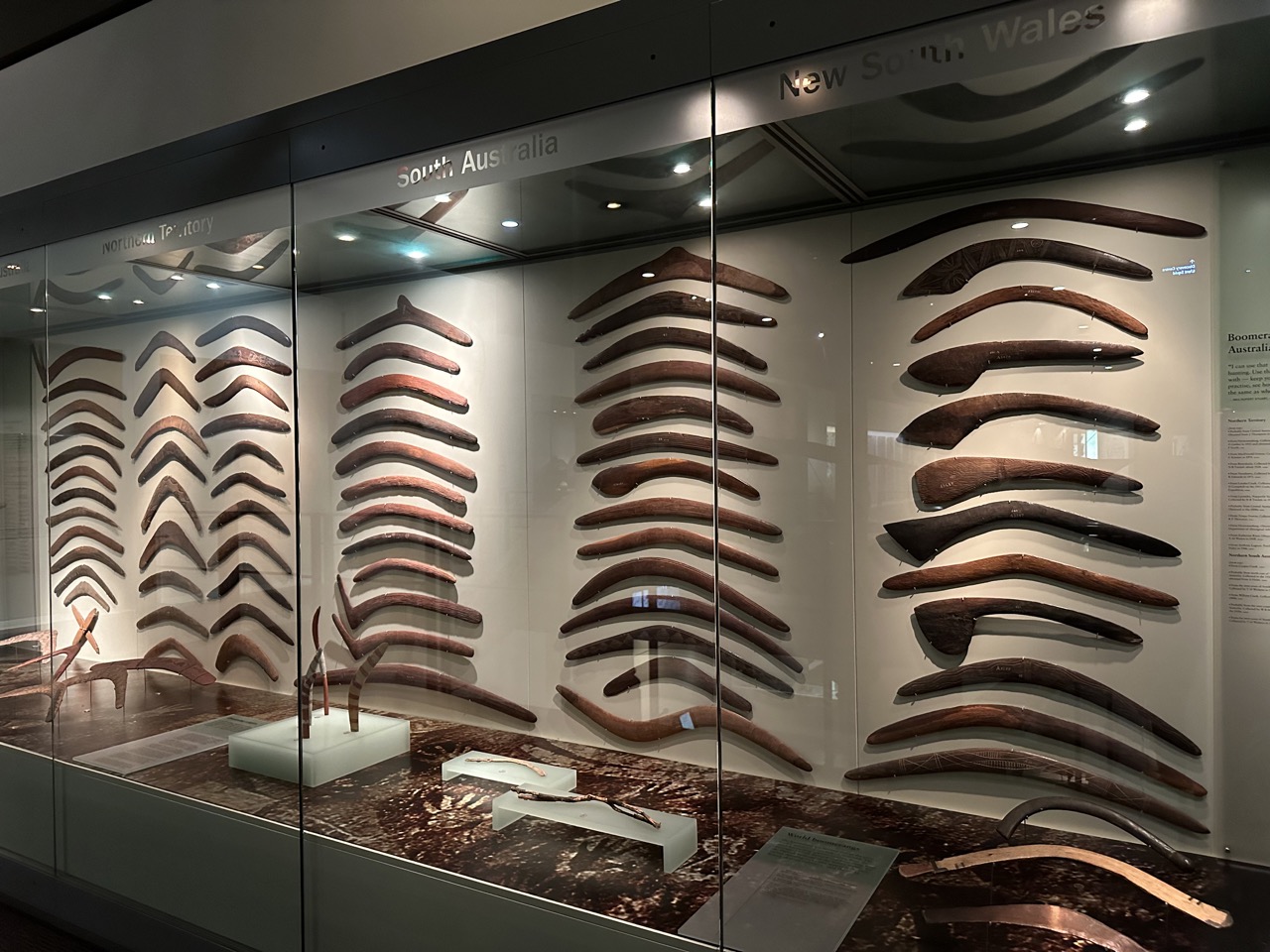 Collection of boomerangs on display in the South Australia Museum