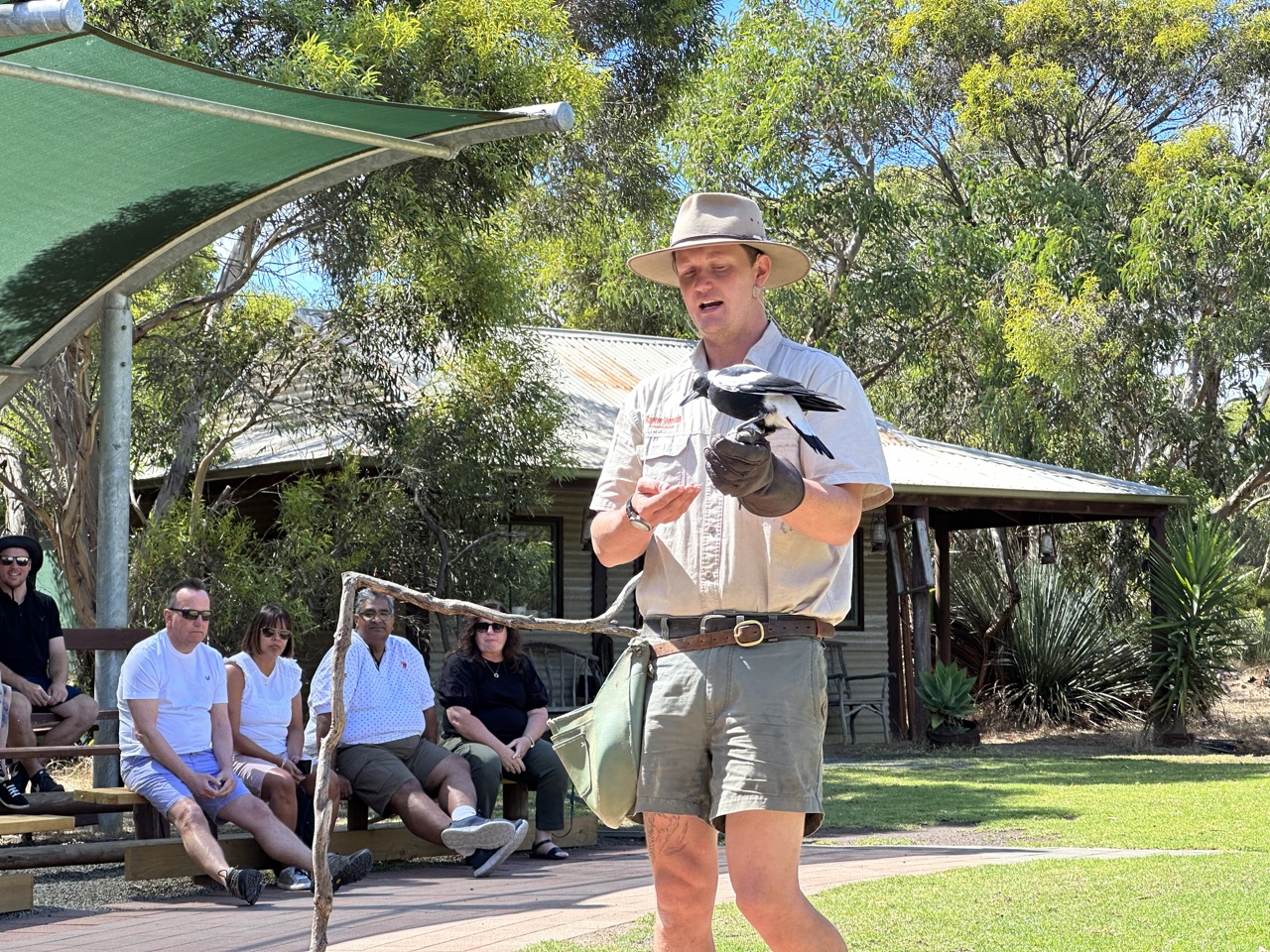 Billy with an Australian magpie