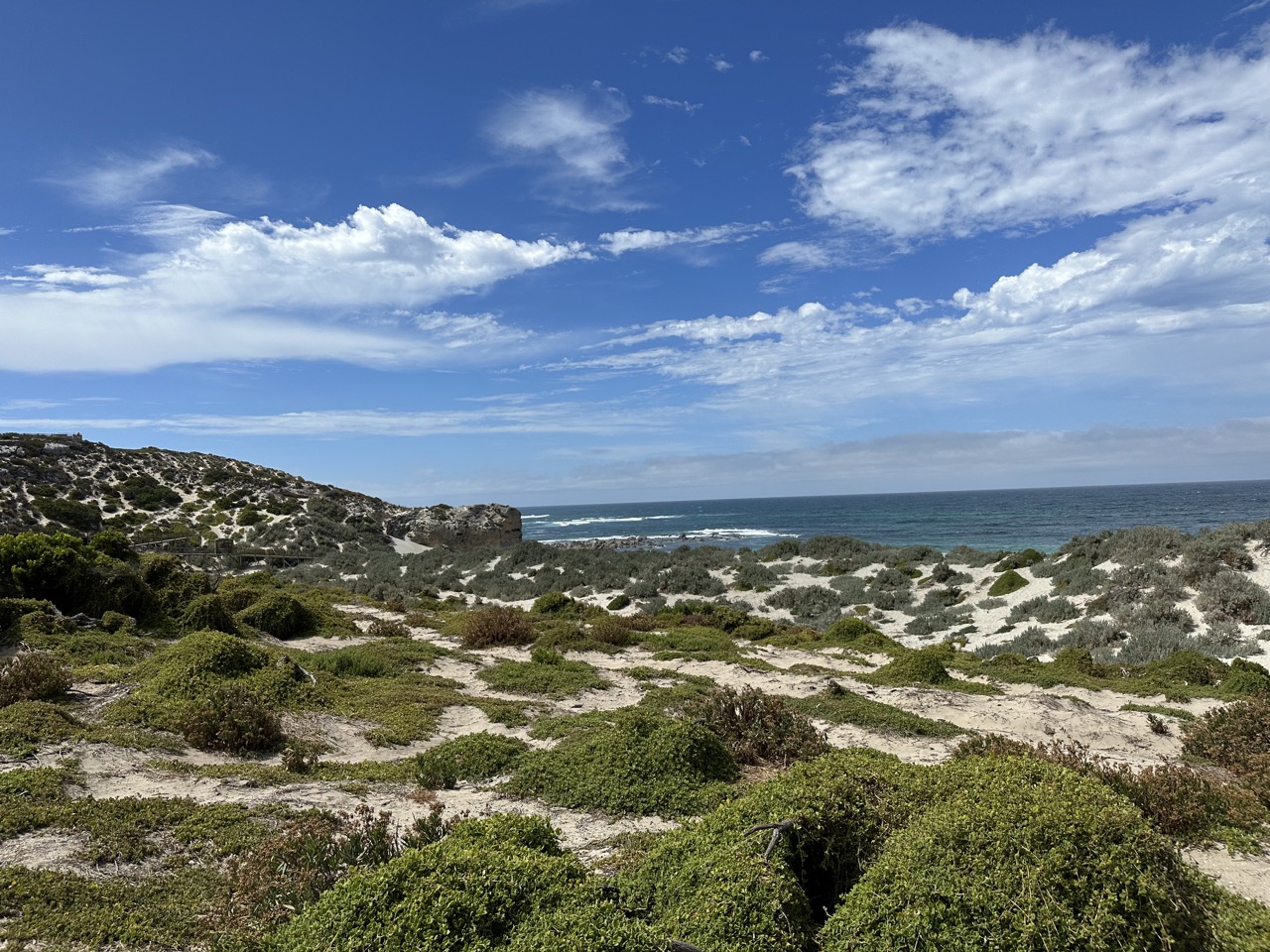 Nice views of the water at Seal Bay from atop the hill