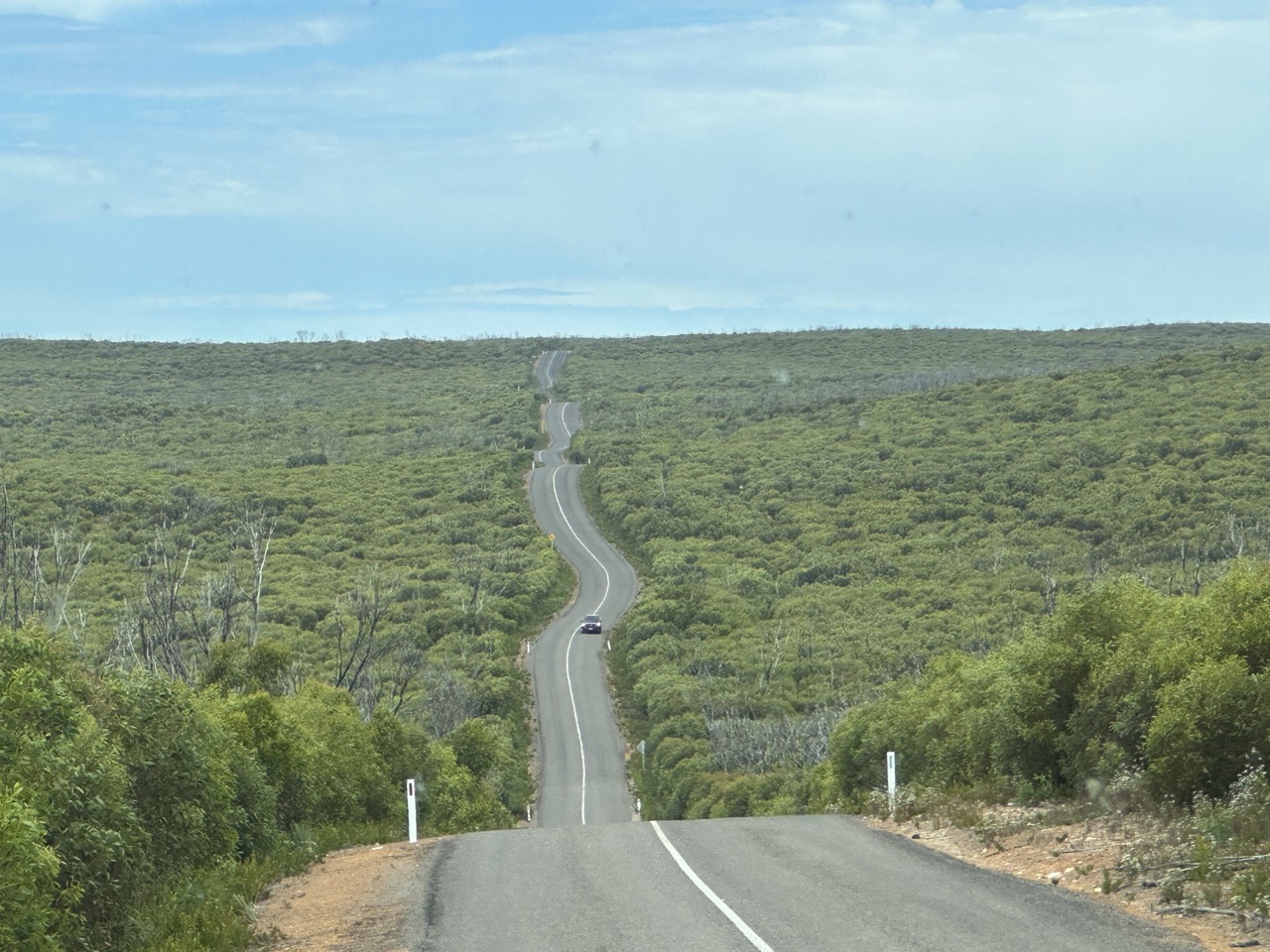 The iconic winding road at Flinder's Chase National Park. 