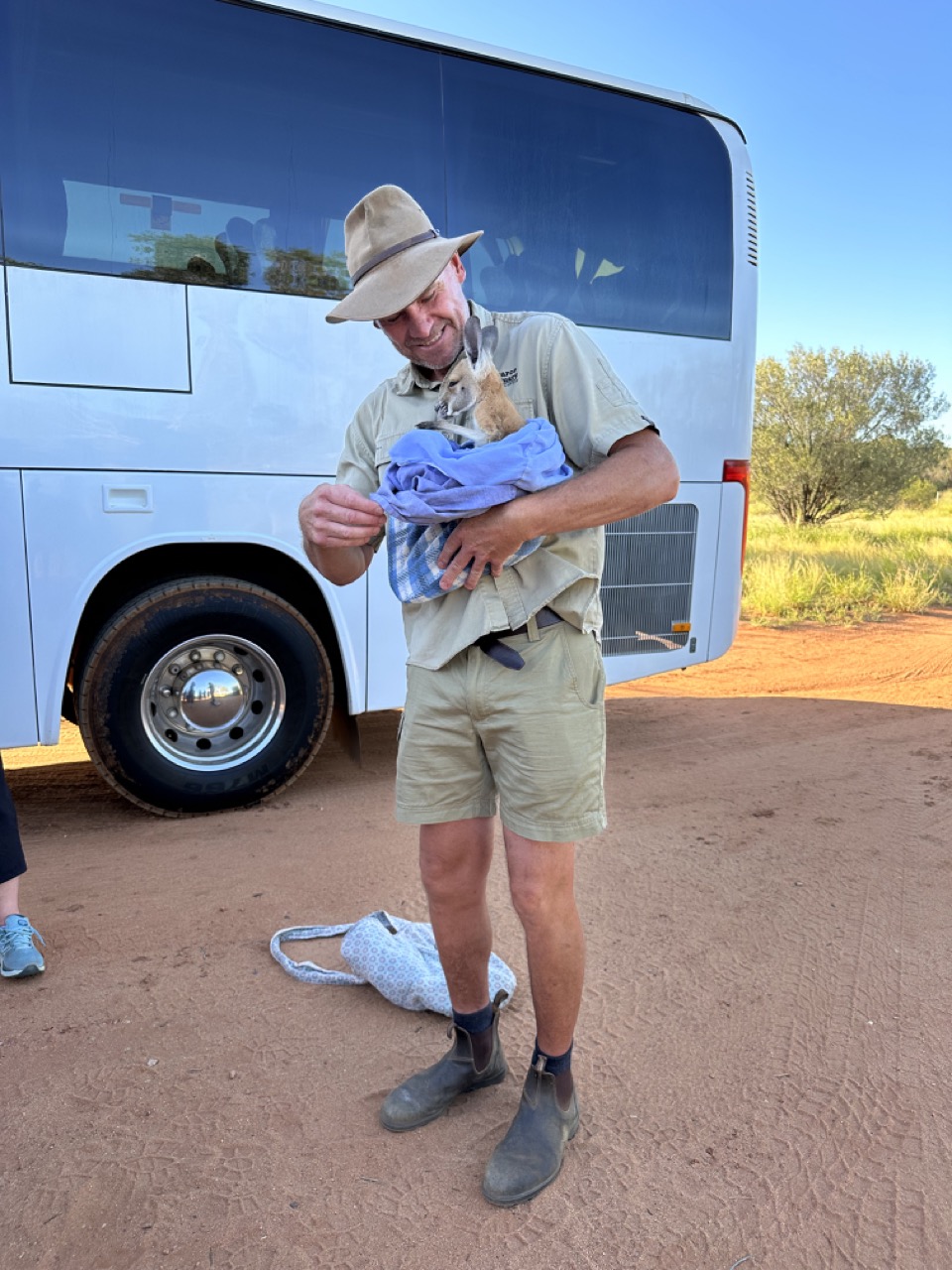 Brolga with a joey named Mindy, who was eight months old.