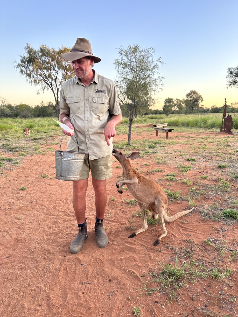 As a special treat, this kangaroo Cindy Lou gets some milk