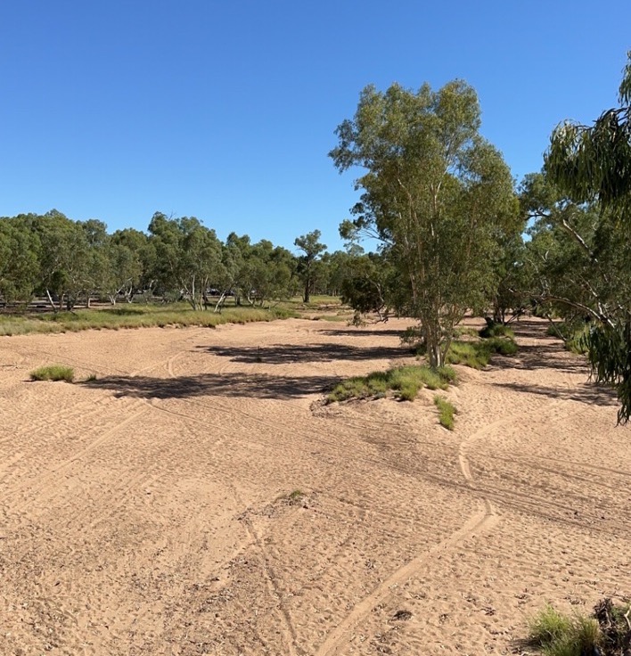 The bed of the Todd River, which typically is completely dry