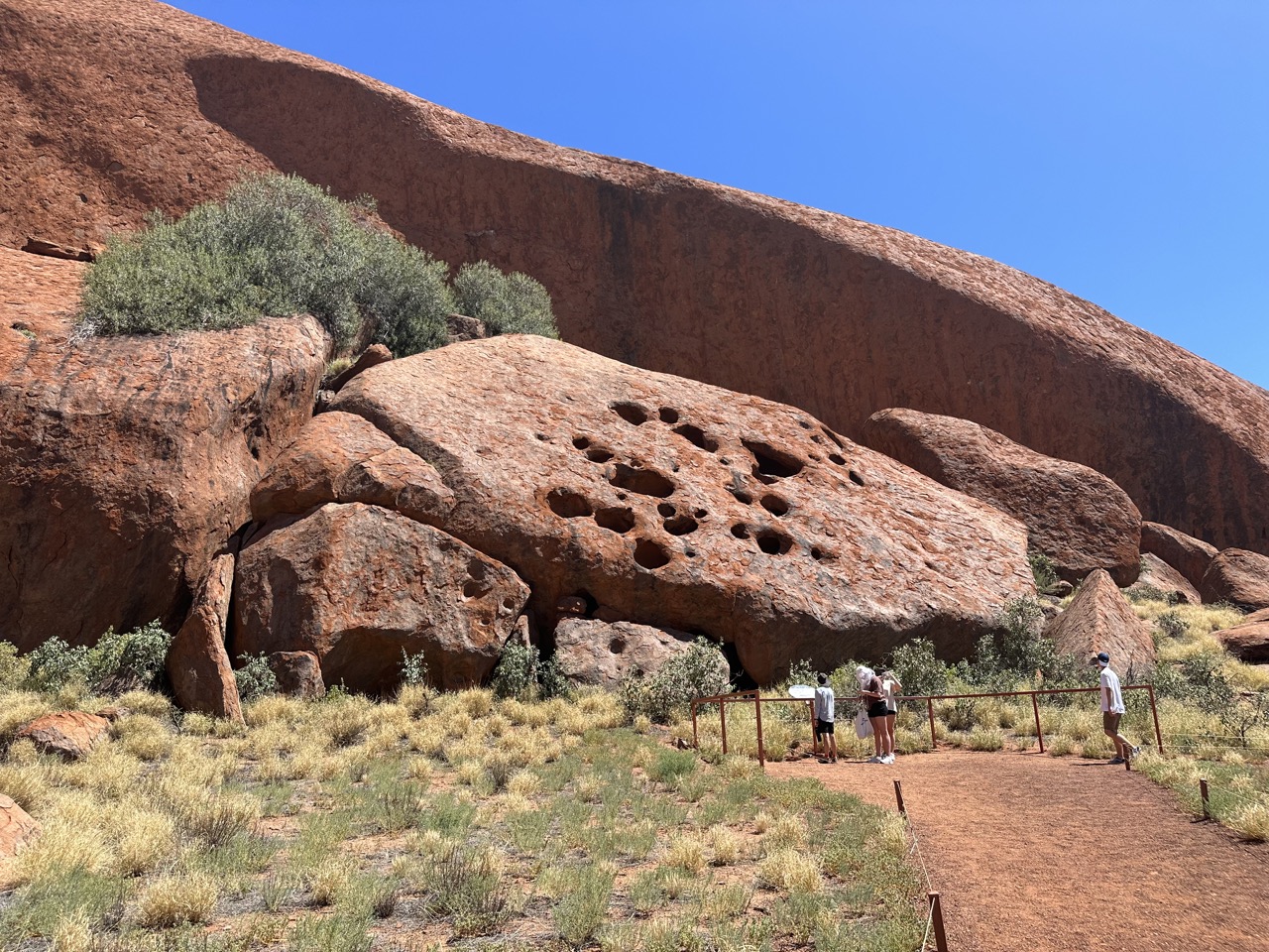 There are lots of small holes where loose sediment would have fallen out