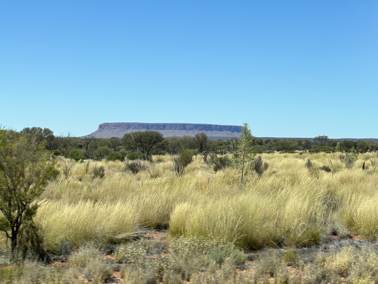 We could see Atilla / Mount Conner, or Fool-uru, in the distance