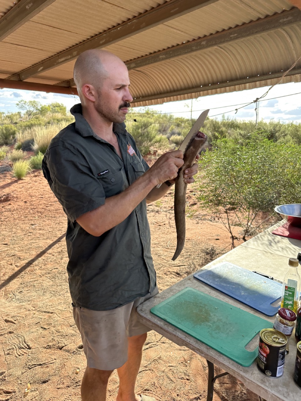 Adam trying to cut a kangaroo tail with a very dull knife