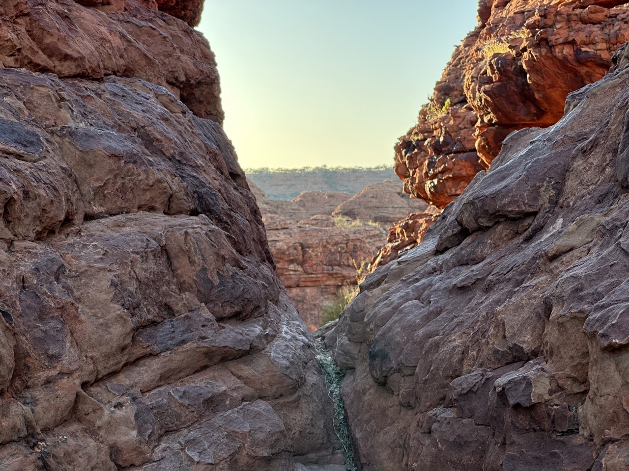 View of more canyon through Priscilla's Crack