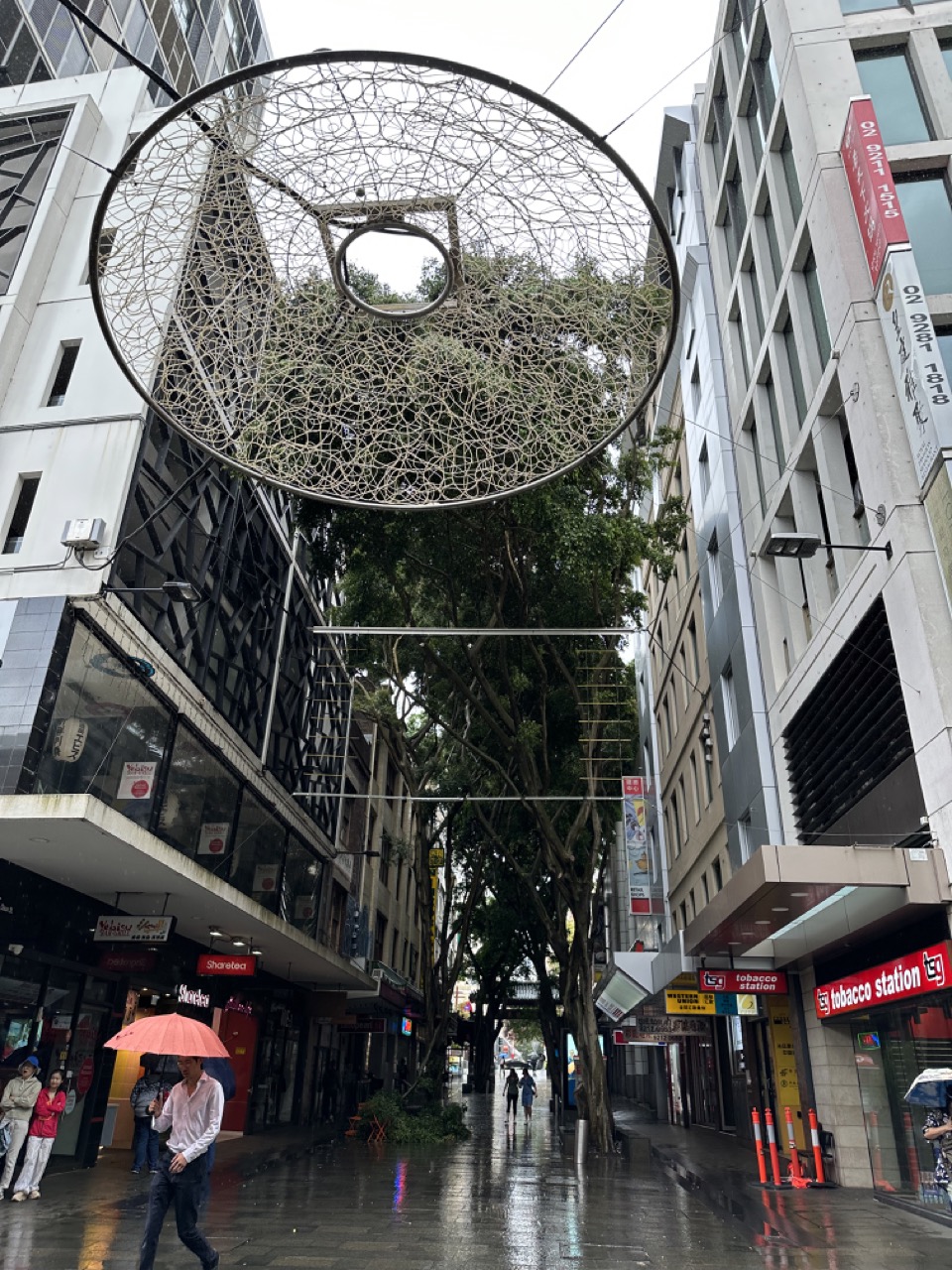 A cool street in Chinatown with a canopy of trees