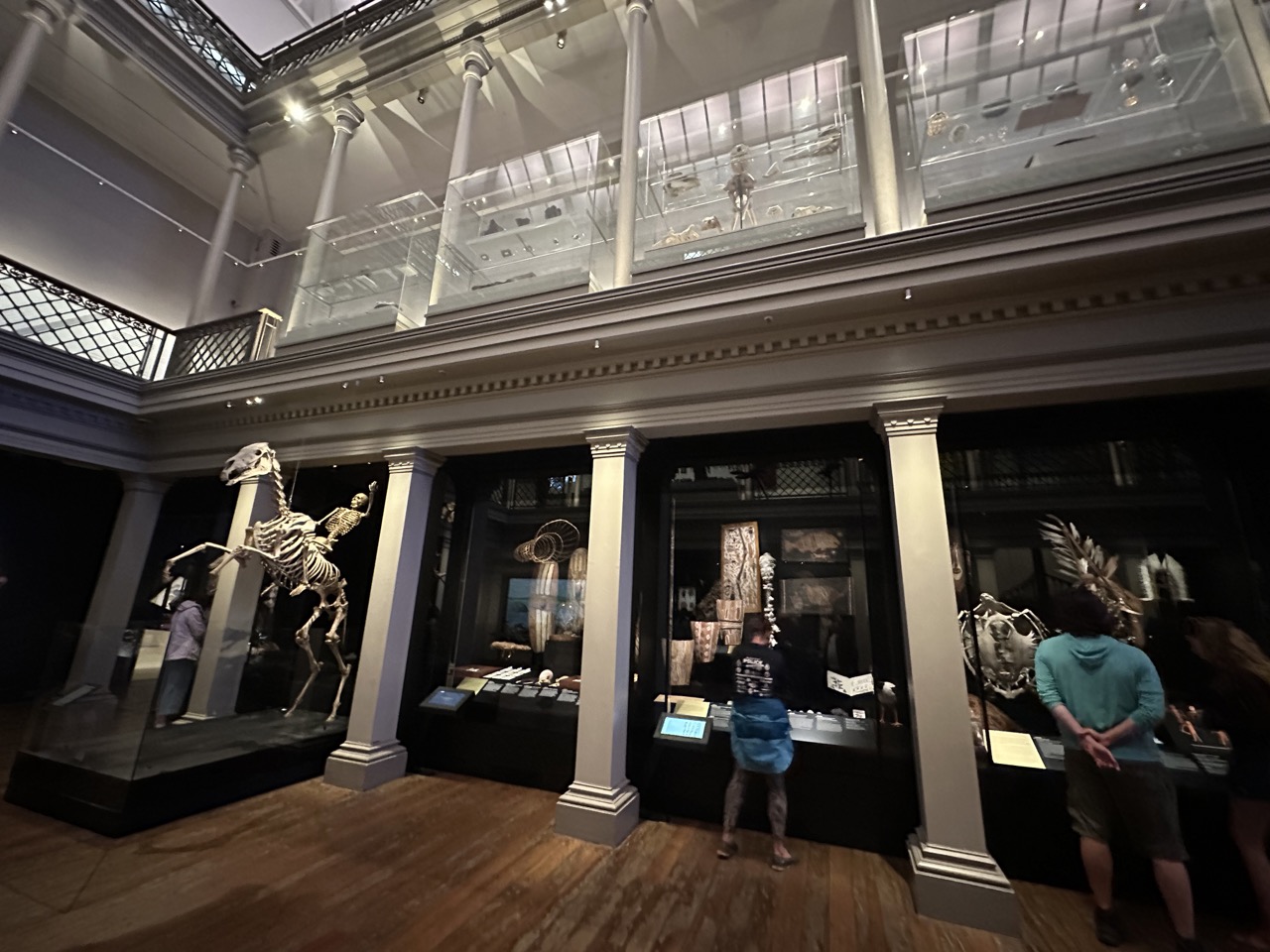 The Gallery of Treasures inside the Australian Museum