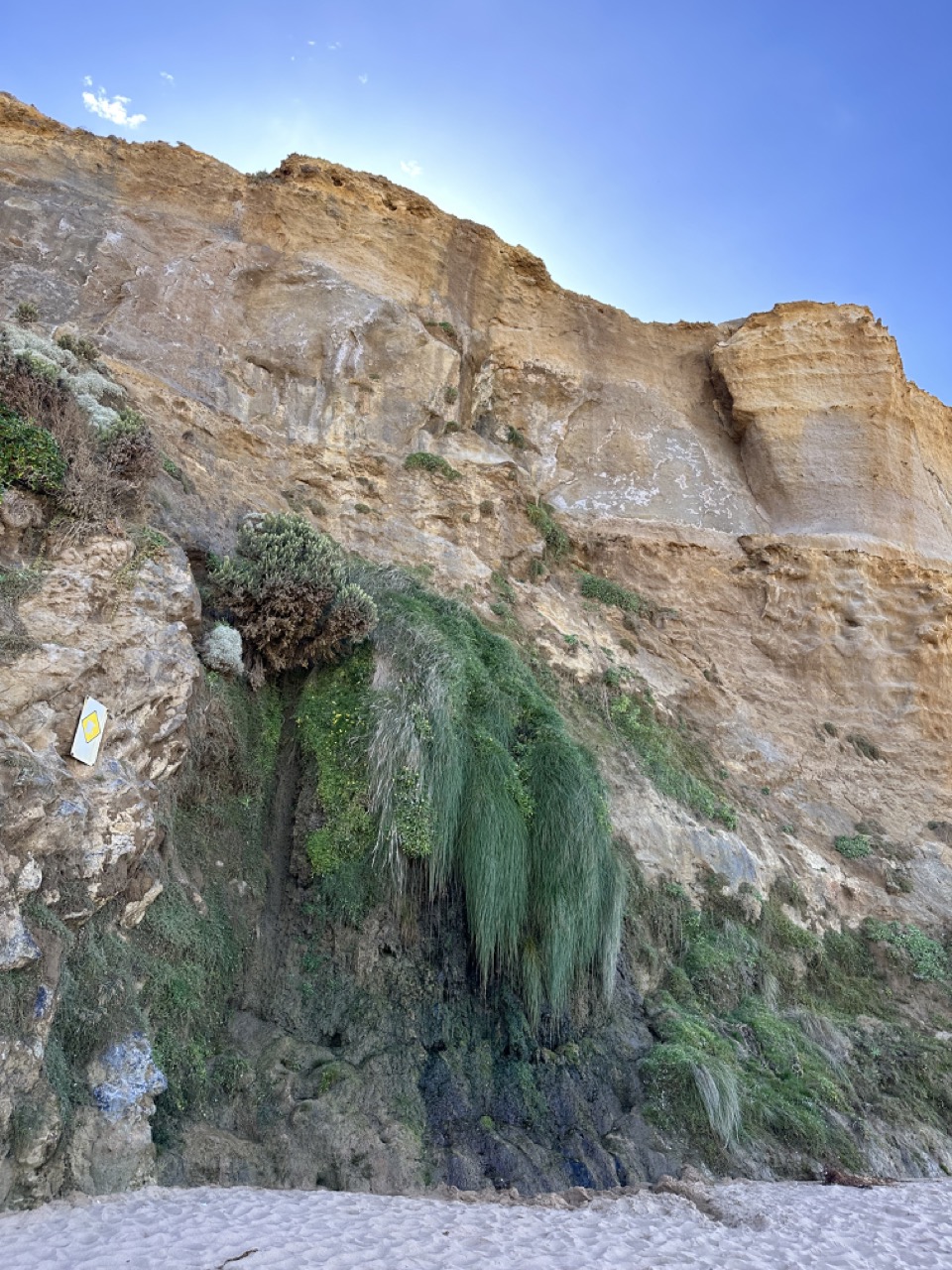 View of the Gibson Steps cliff