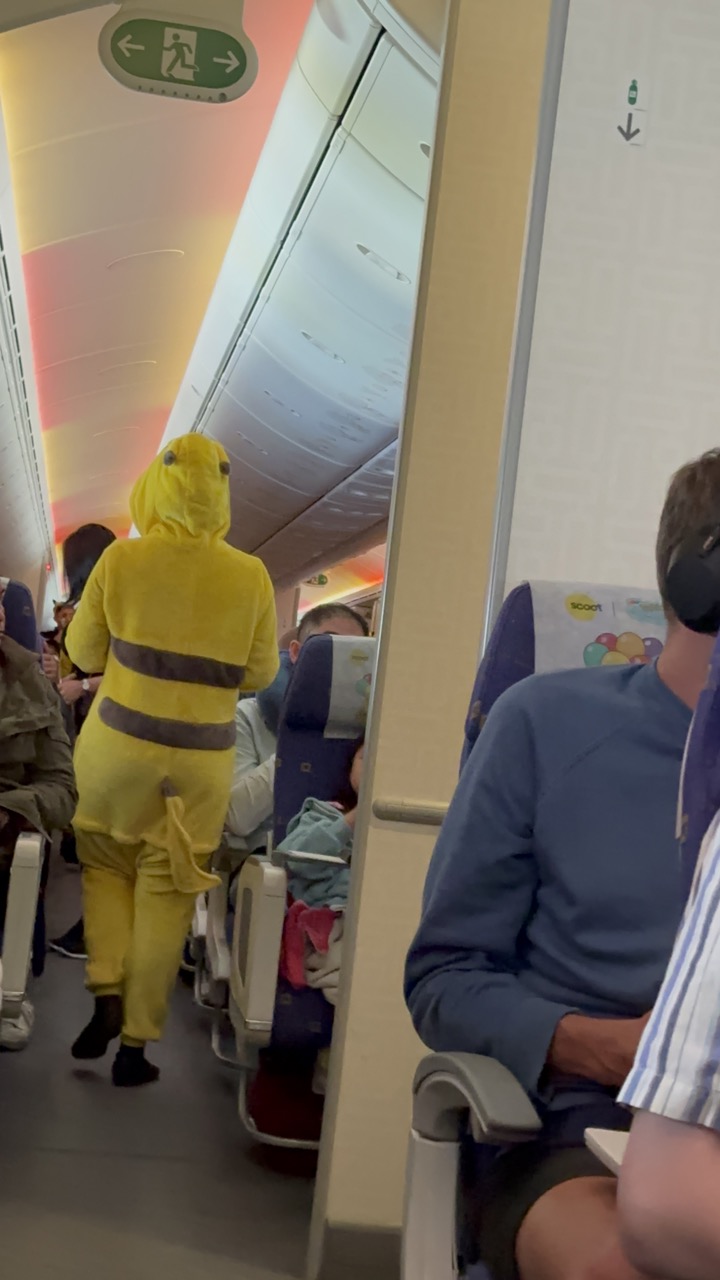 At one point, the flight attendants dressed up in Pokemon costumes and paraded down the aisles